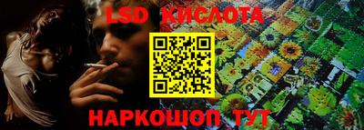 spice Рыбинск